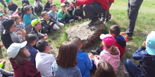 Multiaventura en Torrelaguna 1º Primaria (7 de mayo de 2019) 6