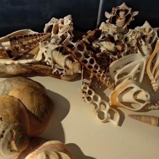 Taller Createctura - AFA Almudena 12