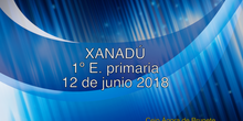 Xanadú 1º E. Primaria curso 2017/18