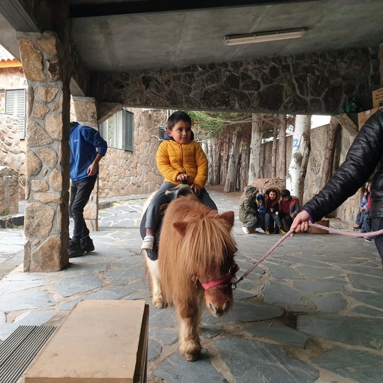 Excursión a la granja (Infantil) 15