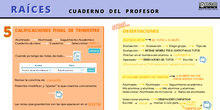 RAÍCES - Cuaderno del profesor