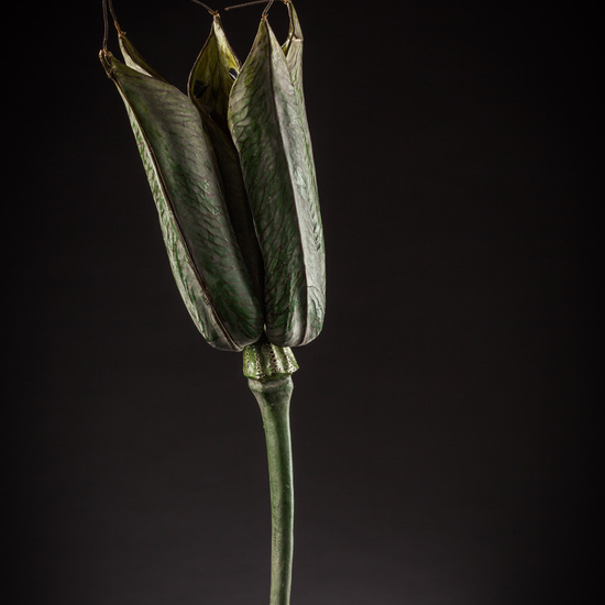 IES_ISABELLACATOLICA_BIOLOGIA_101