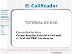 TALLER USO CALIFICADOR PPT