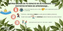 INSTRUCCIONES T5 CANVA