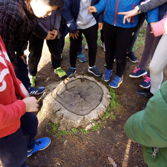 VISITA A GREFA. 5º CURSO 25