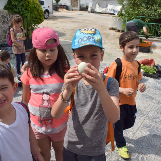 Siembra Huerta Balta 1 5 años 2018 8