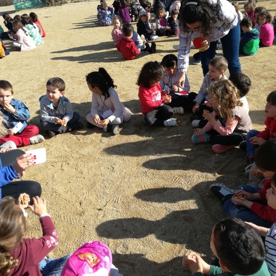 Infantil en la granja 3