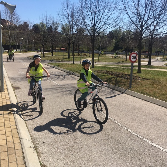 Educación Vial 11/3/2019 14
