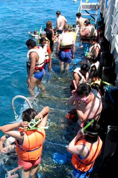 Plataforma de buceo, Australia