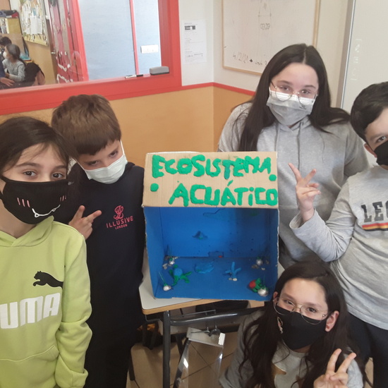 Diorama Ecosistemas (5ºE) 1
