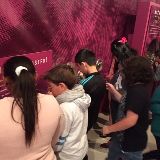 Centro de Interpretación de la Naturaleza. Montecarmelo. 6º curso. 14