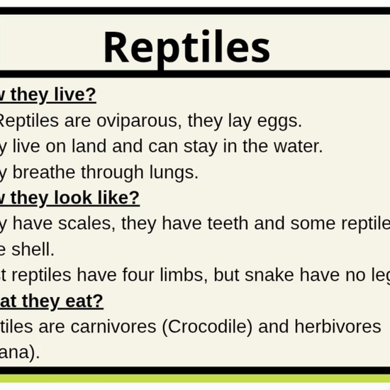 REPTILES