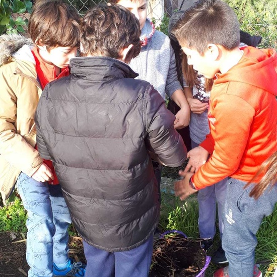 2020_02_13_4º planta en el huerto_CEIP FDLR_Las Rozas 1