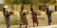 Mujeres transportando madera, Rep. de Djibouti, áfrica