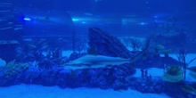 FOTOS AQUARIUM 3 18
