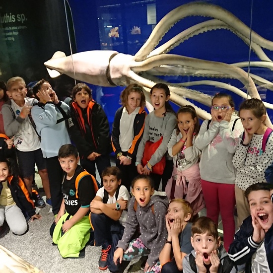 Excursión al museo de ciencias 3