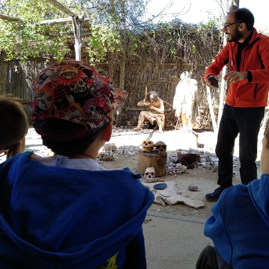 Arqueopinto 4º 19 16