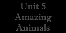 Unit 5: Amazing Animals