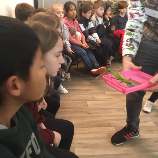 2020_02_27_3º visita Insectpark (2)_CEIP FDLR_Las Rozas 8