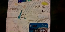 Aquatic Ecosystem 5ºA (by Alejandra, Fernando, Rahela, Marta, Dulce, Luca and Daniel)