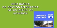 	 GUÍA BÁSICA PRESENTACIÓN TELEMÁTICA