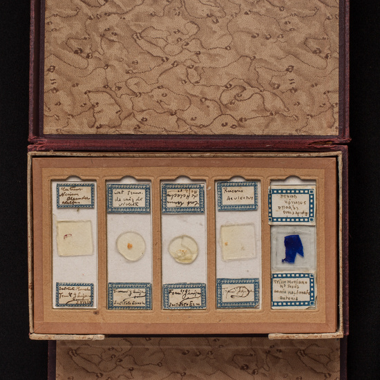 IES_ISABELLACATOLICA_BIOLOGIA_199