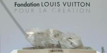 Paris : création de la Fondation Louis Vuitton
