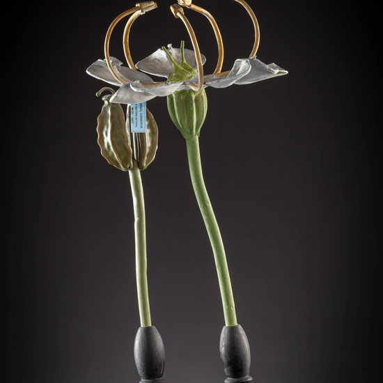 IES_CARDENALCISNEROS_BOTÁNICA_III_MODELOS_004