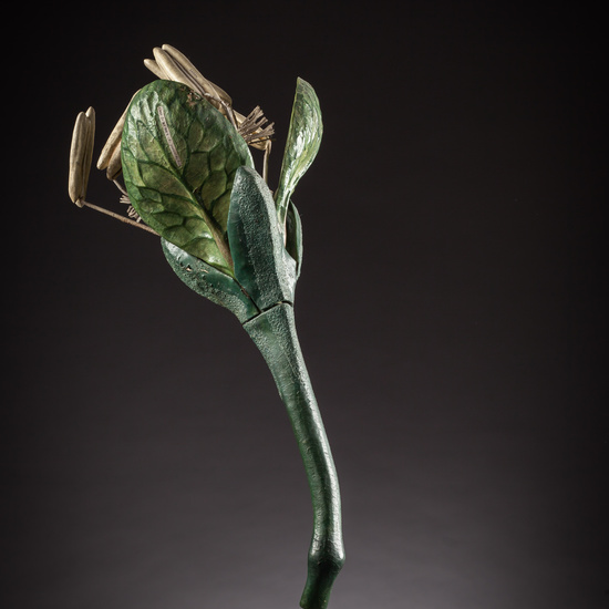 IES_ISABELLACATOLICA_BIOLOGIA_115