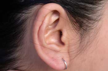 Oreja