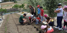 Siembra Huerta Balta 5 años 2018 46