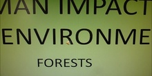 Human Impact In The Environment