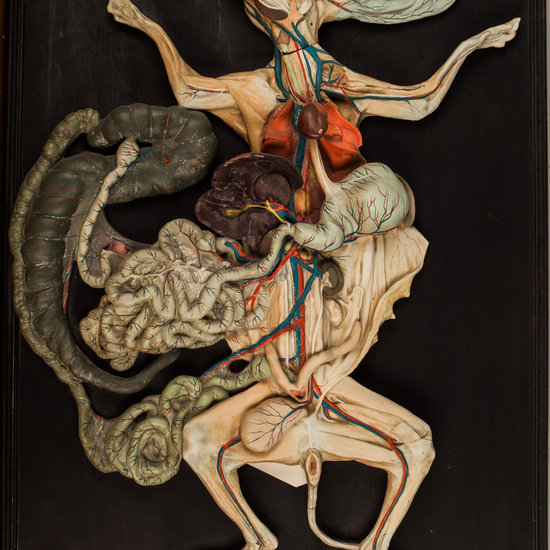 IES_SANISIDRO_BIOLOGIA_330