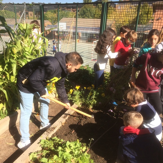 2019_11_05_El huerto en otoño_CEIP FDLR_Las Rozas 5