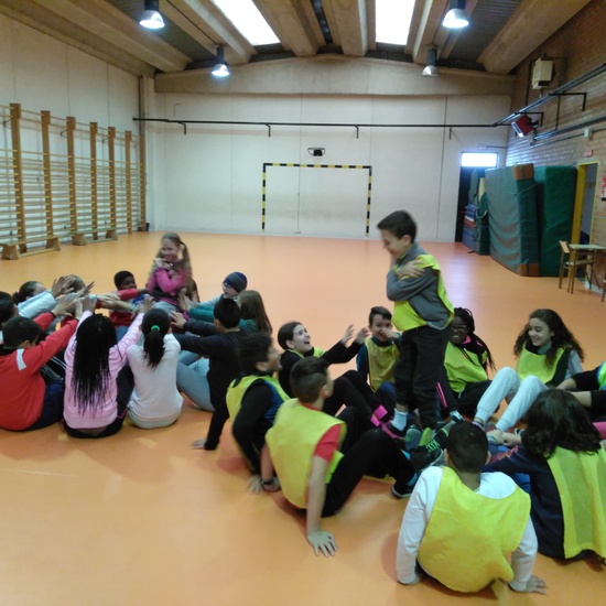 Convivencia en Educación física 7