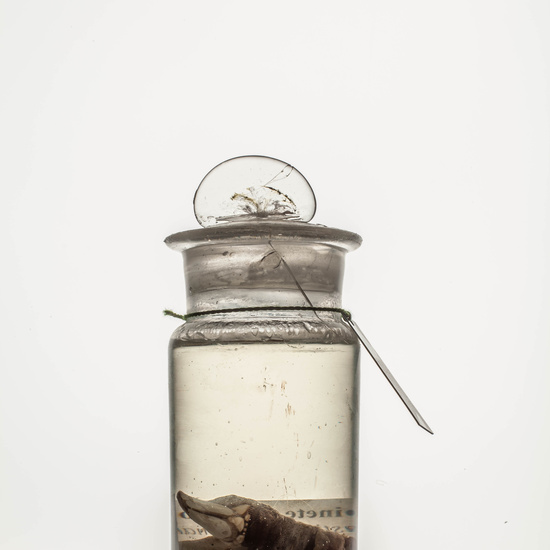 IES_CARDENALCISNEROS_CIENCIASNATURALES_091