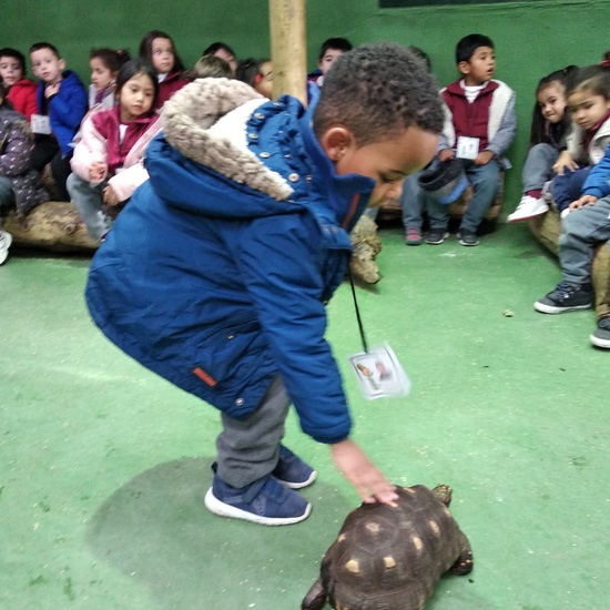 Granja de los Cuentos Infantiles I 18