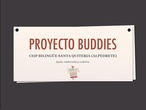 Proyecto Buddies