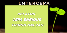 Relatos CEPA  Arganda XVIII Certamen literario InterCEPAs