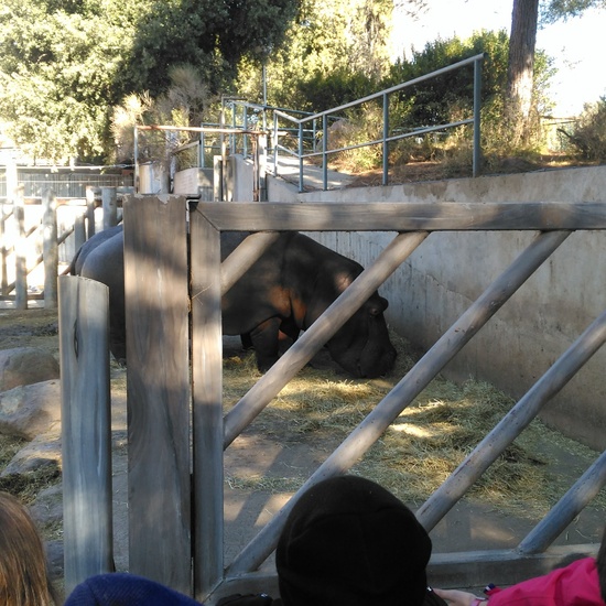 3ºE- Fotos Primer Trimestre 33