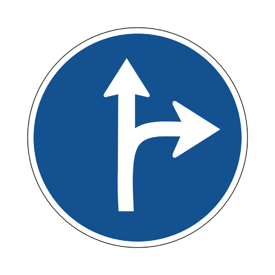 únicas direcciones permitidas: Recto o derecha