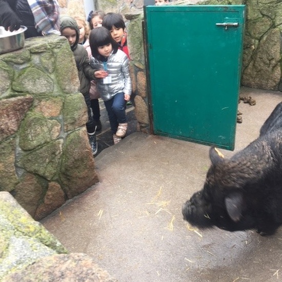 Granja Infantil 4 años - Enero 2020 8