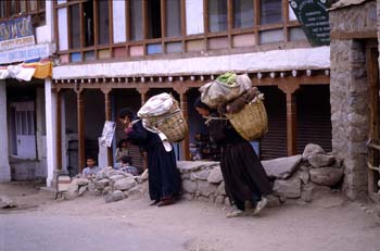 Mujeres de regreso del mercado de verduras, Ladakh, India