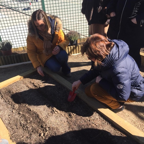 Quinto de Primaria_Taller de Huerto Escolar_CEIP Fernando de los Ríos_Las Rozas 10
