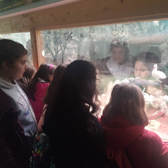 Salida 5º de Primaria al centro recuperación animal GREFA 1
