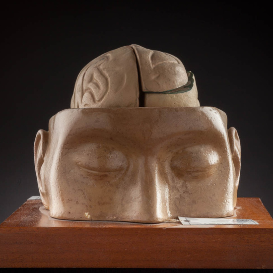 IES_ISABELLACATOLICA_ANATOMIA_035