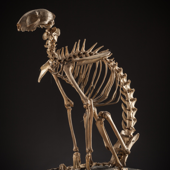 IES_SANISIDRO_BIOLOGIA_126