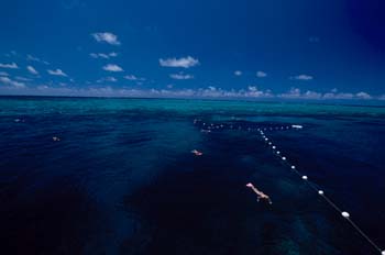 Arrecife de coral, Australia