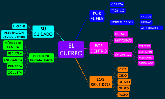 PROYECTO_EL_CUERPO_03