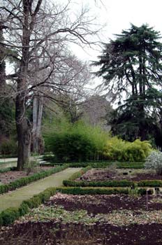 Real Jardín Botánico, Madrid